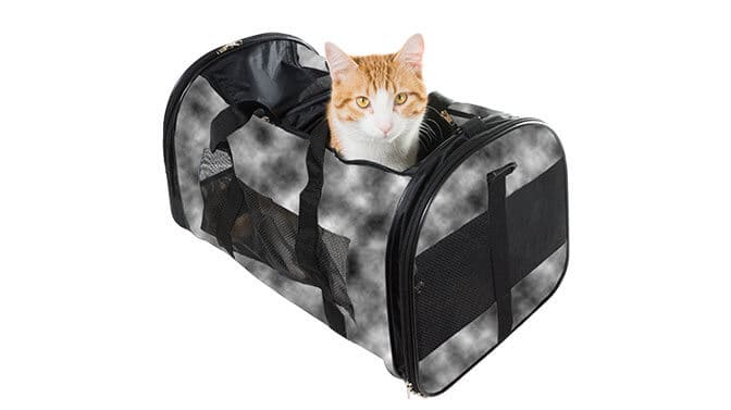 are soft sided cat carriers safe