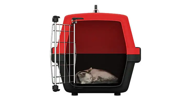 how to clean a hard cat carrier