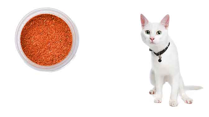can cats eat cayenne pepper