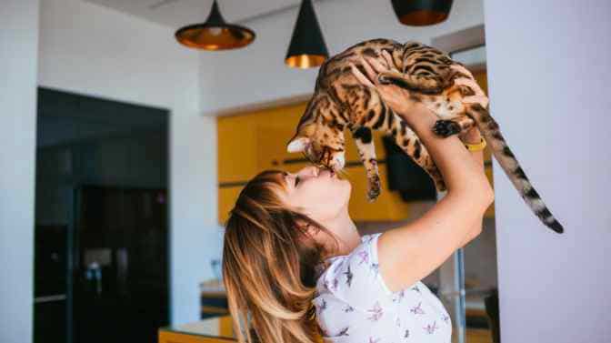 why do bengal cats hate being held
